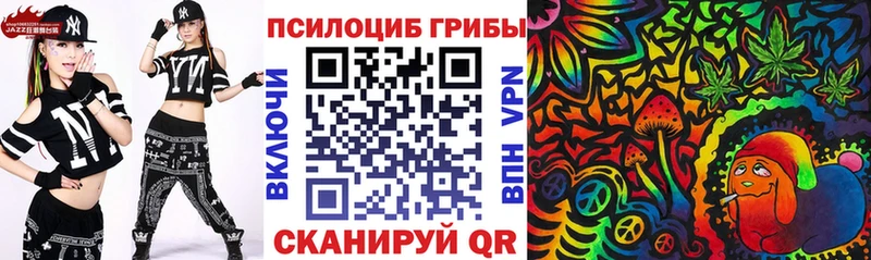наркота  Фрязино  Галлюциногенные грибы прущие грибы 